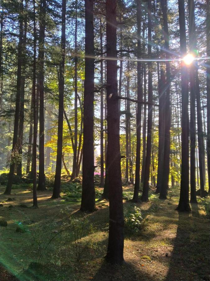 The Hosteller Manali エクステリア 写真