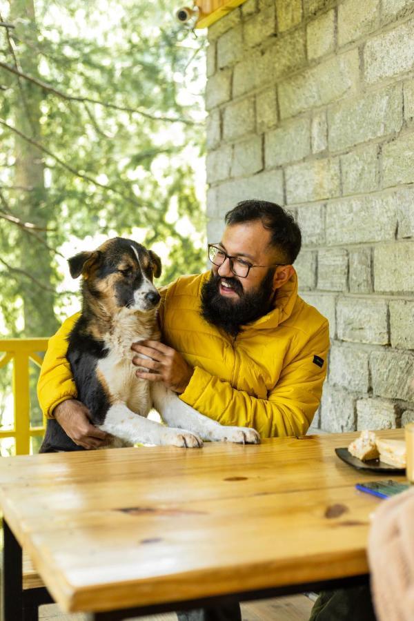 The Hosteller Manali エクステリア 写真